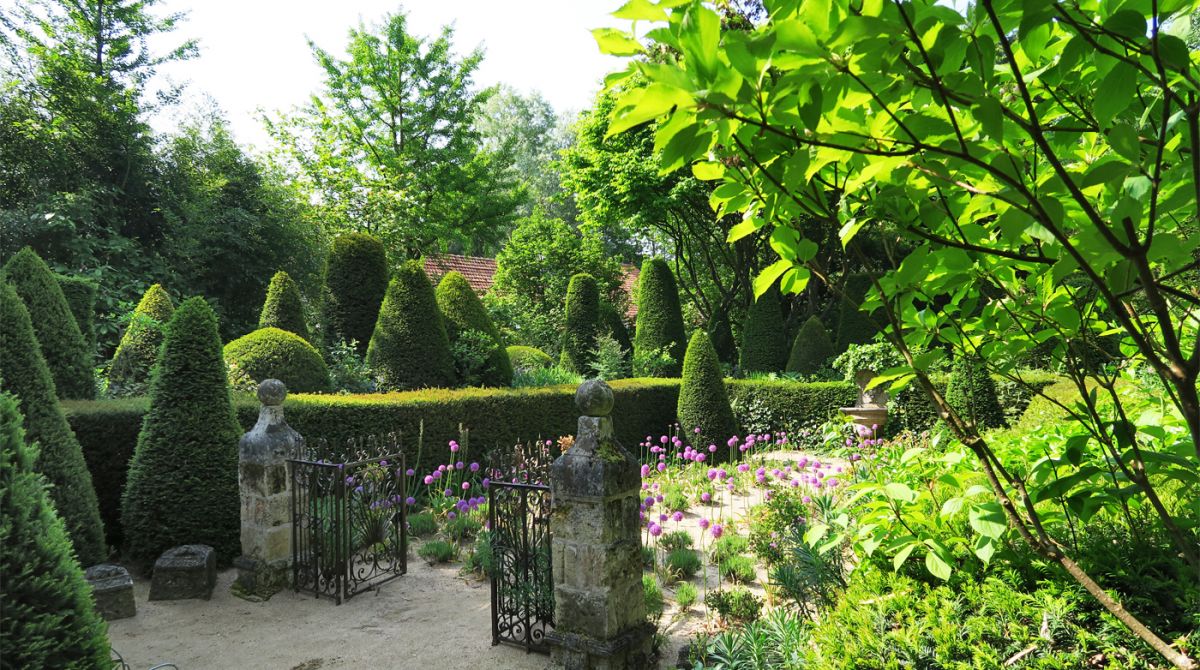 Jardin Agapanthe en Mai les Lavandes